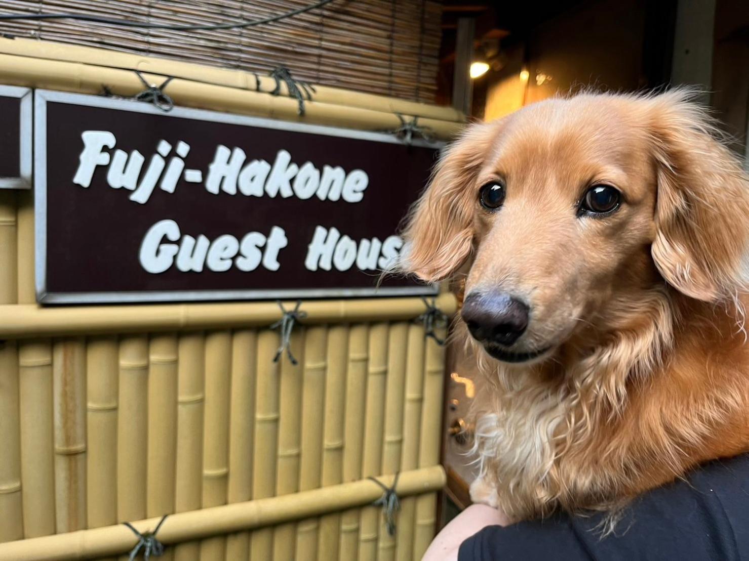 Fuji-Hakone Guest House Dış mekan fotoğraf