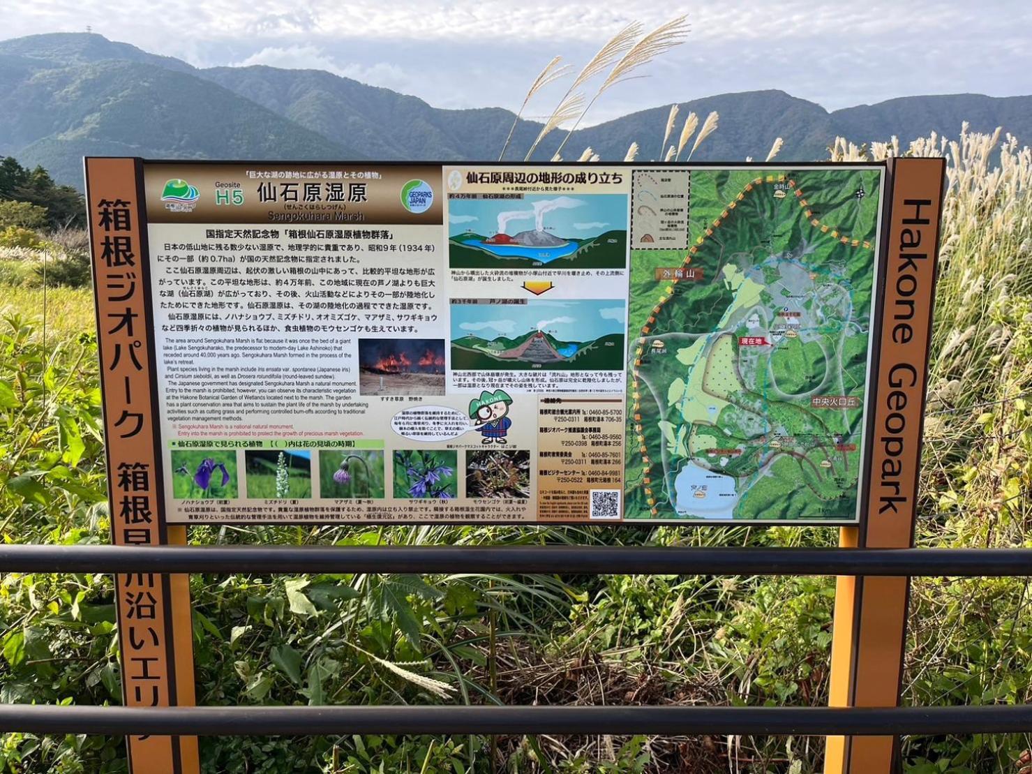 Fuji-Hakone Guest House Dış mekan fotoğraf